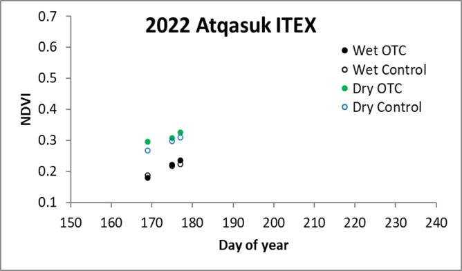 NDVI at Atqasuk ITEX plots week of 6.29